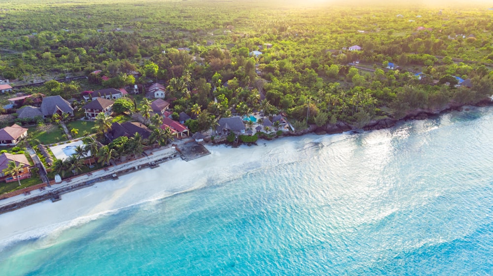 an aerial view of a beach and a resort