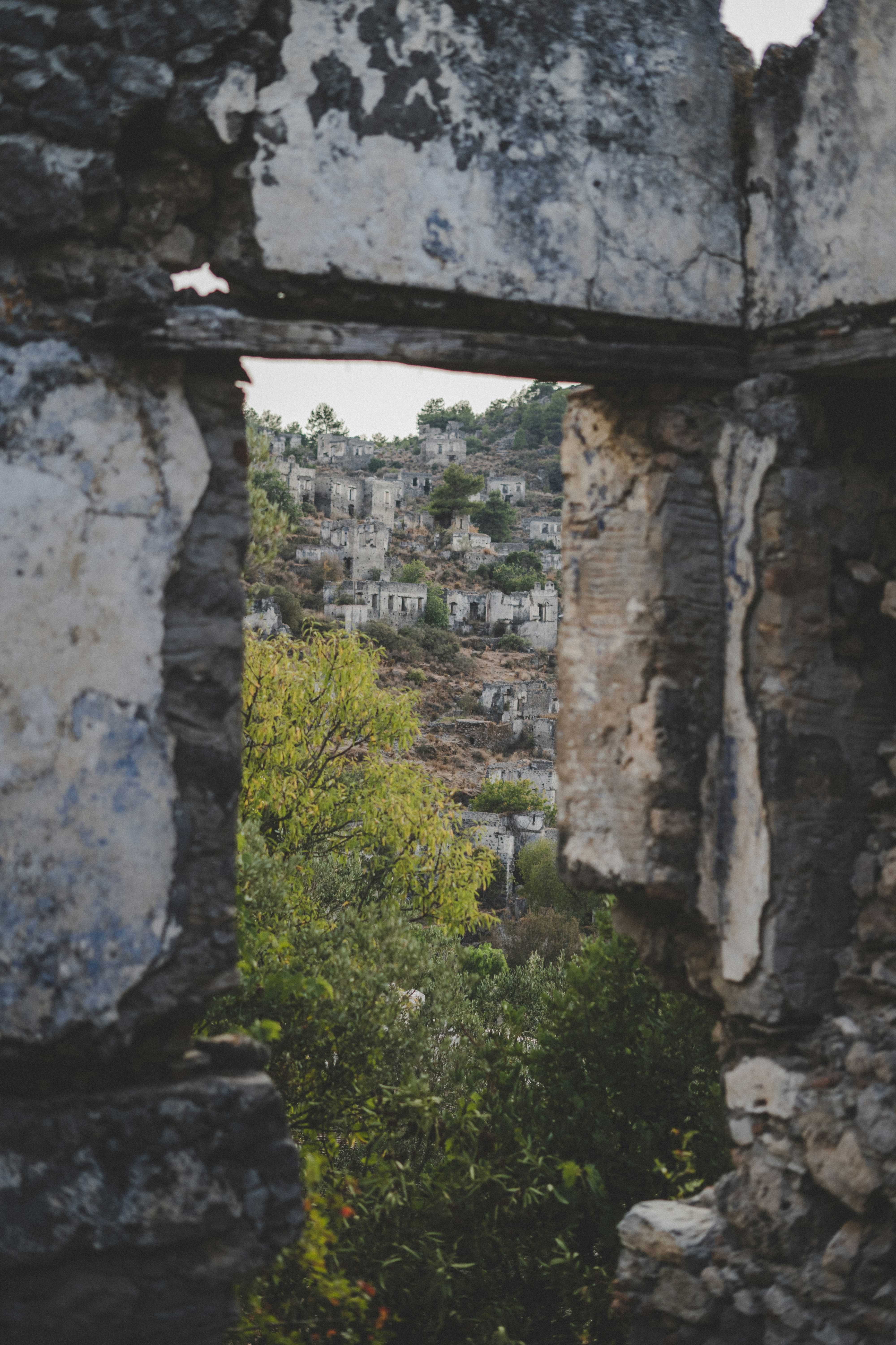 Photo by umityildirim