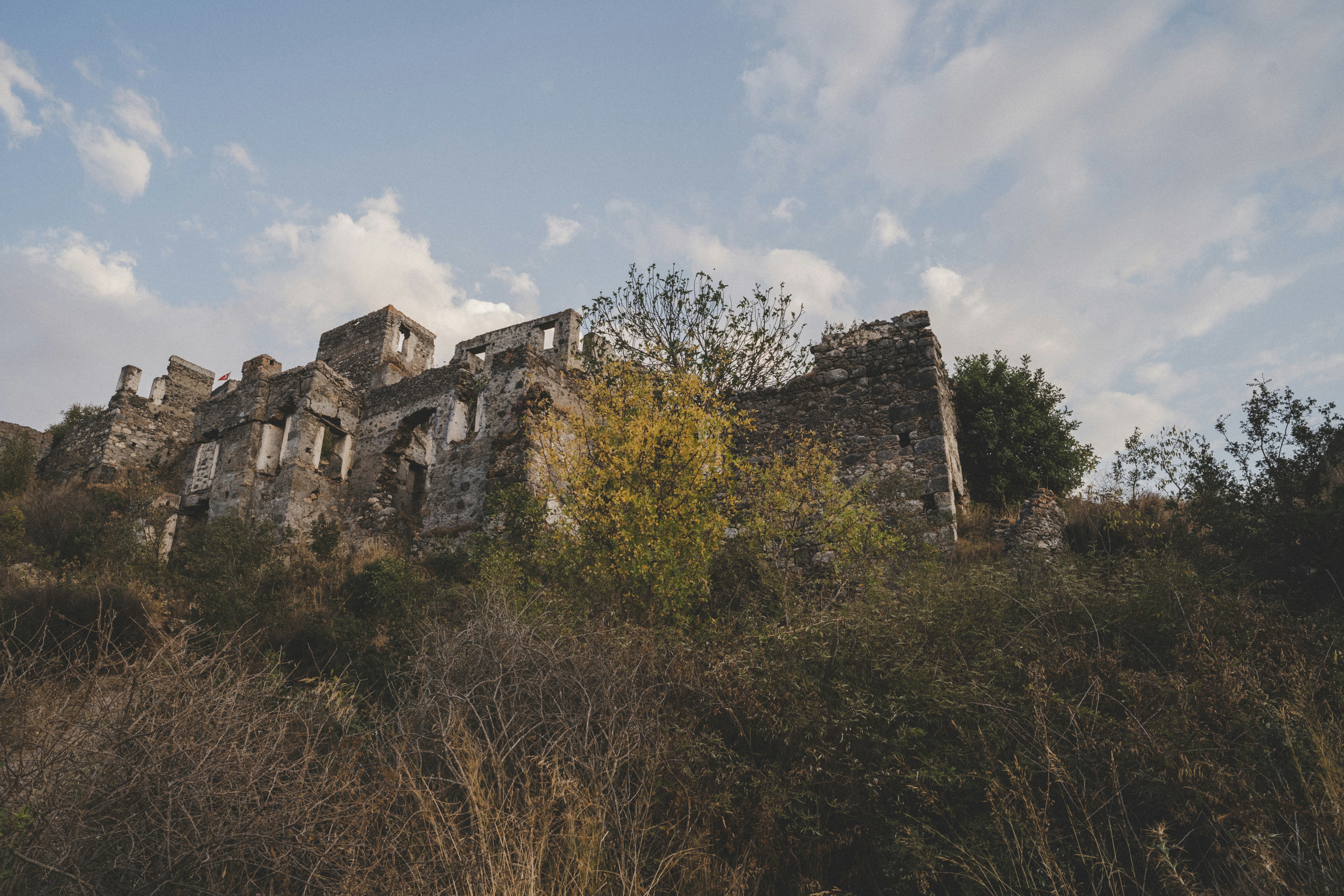 Photo by umityildirim