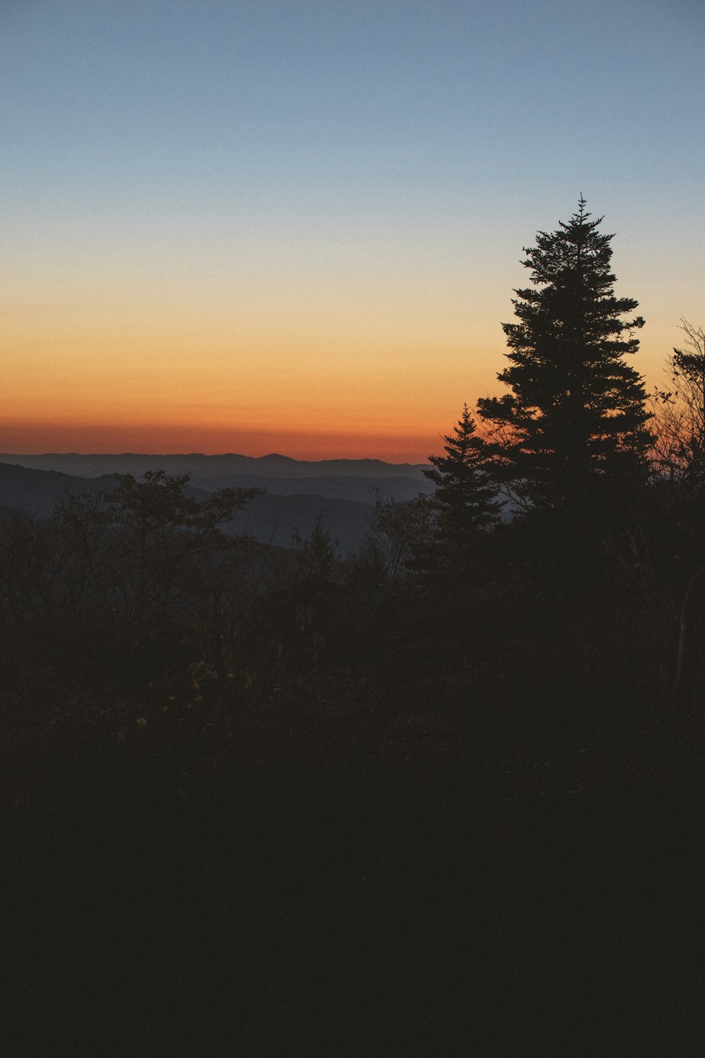 die Sonne geht über den Bergen und Bäumen unter