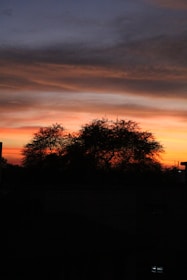 A serene image of a peaceful sunset with violet and pink hues reflecting calm and dignity.