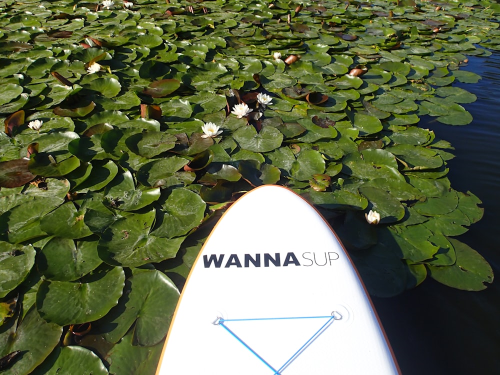 a white surfboard sitting on top of a body of water