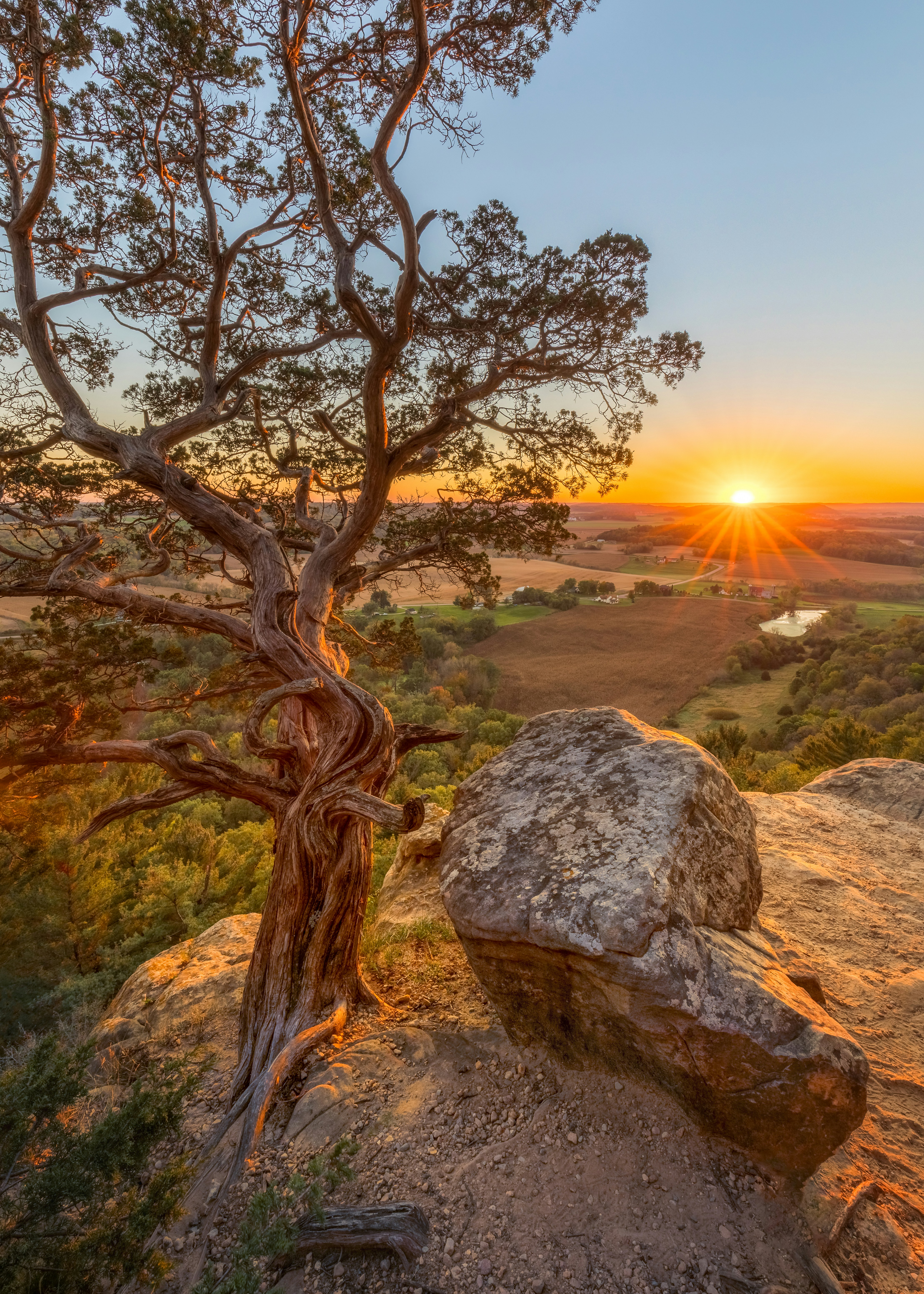 great photo recipe,how to photograph an autumn sunset; a tree on top of a rock with the sun setting in the background