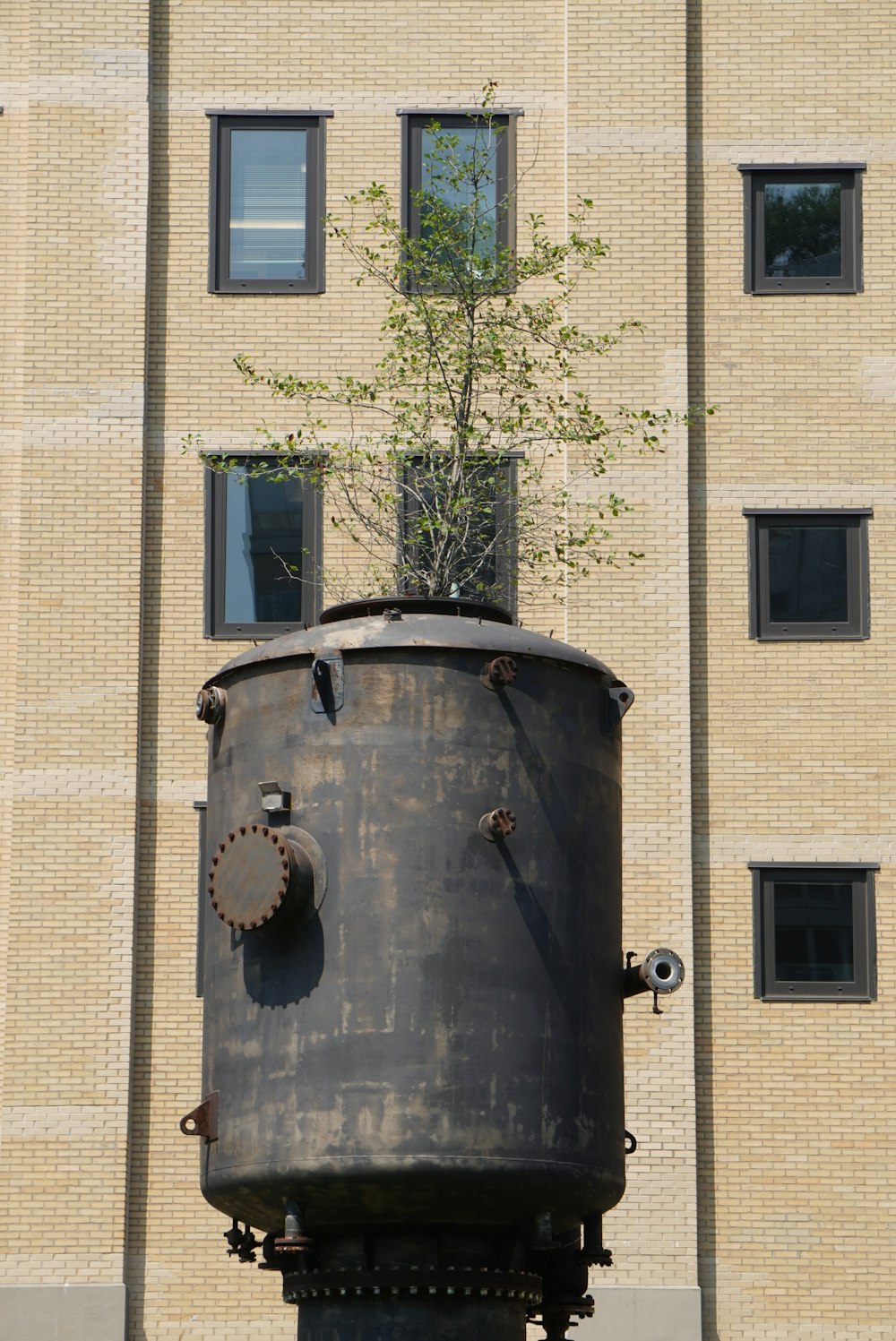 a tree growing out of a tank in front of a building