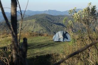 Compact tent pitched on a grassy hill under a clear blue sky