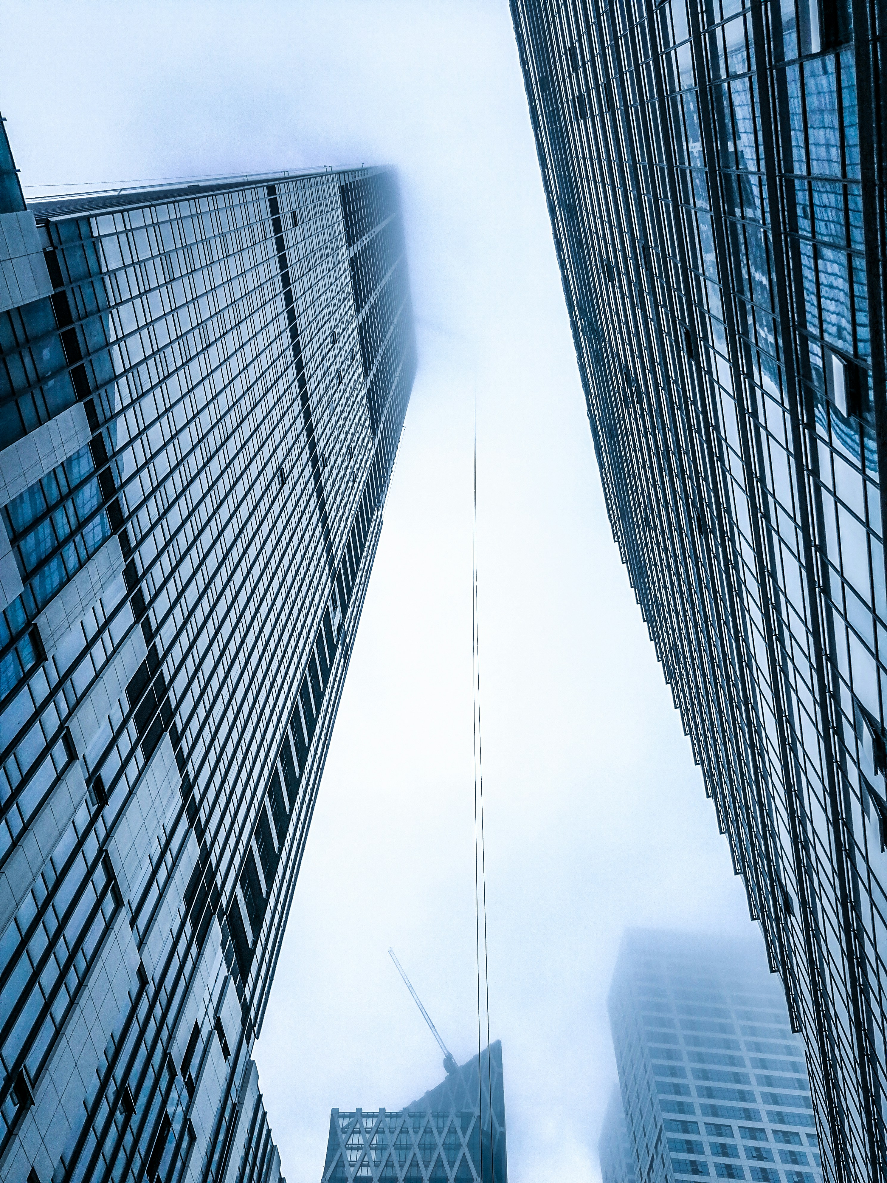 Photo by woshiyingxiong202