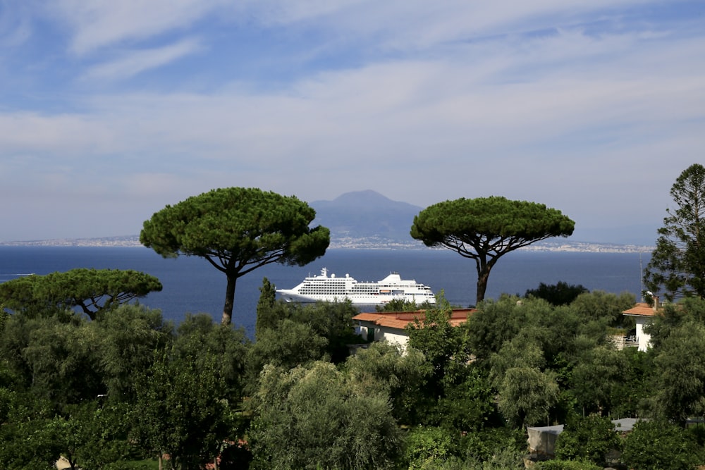 a cruise ship is in the distance behind some trees
