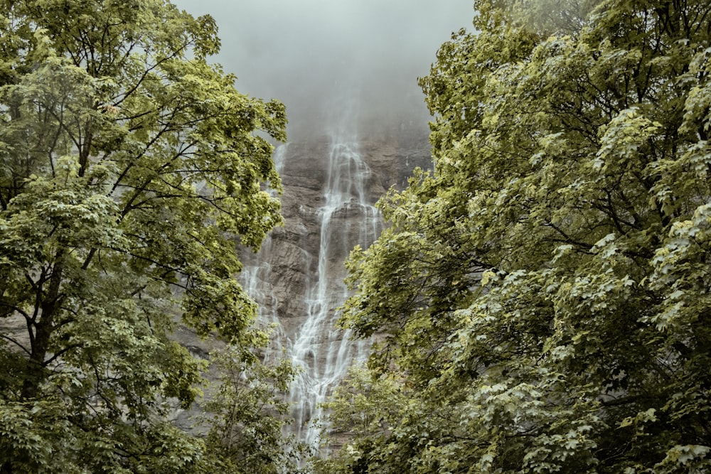 a large waterfall in a forest