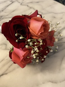 Crimson Elegance