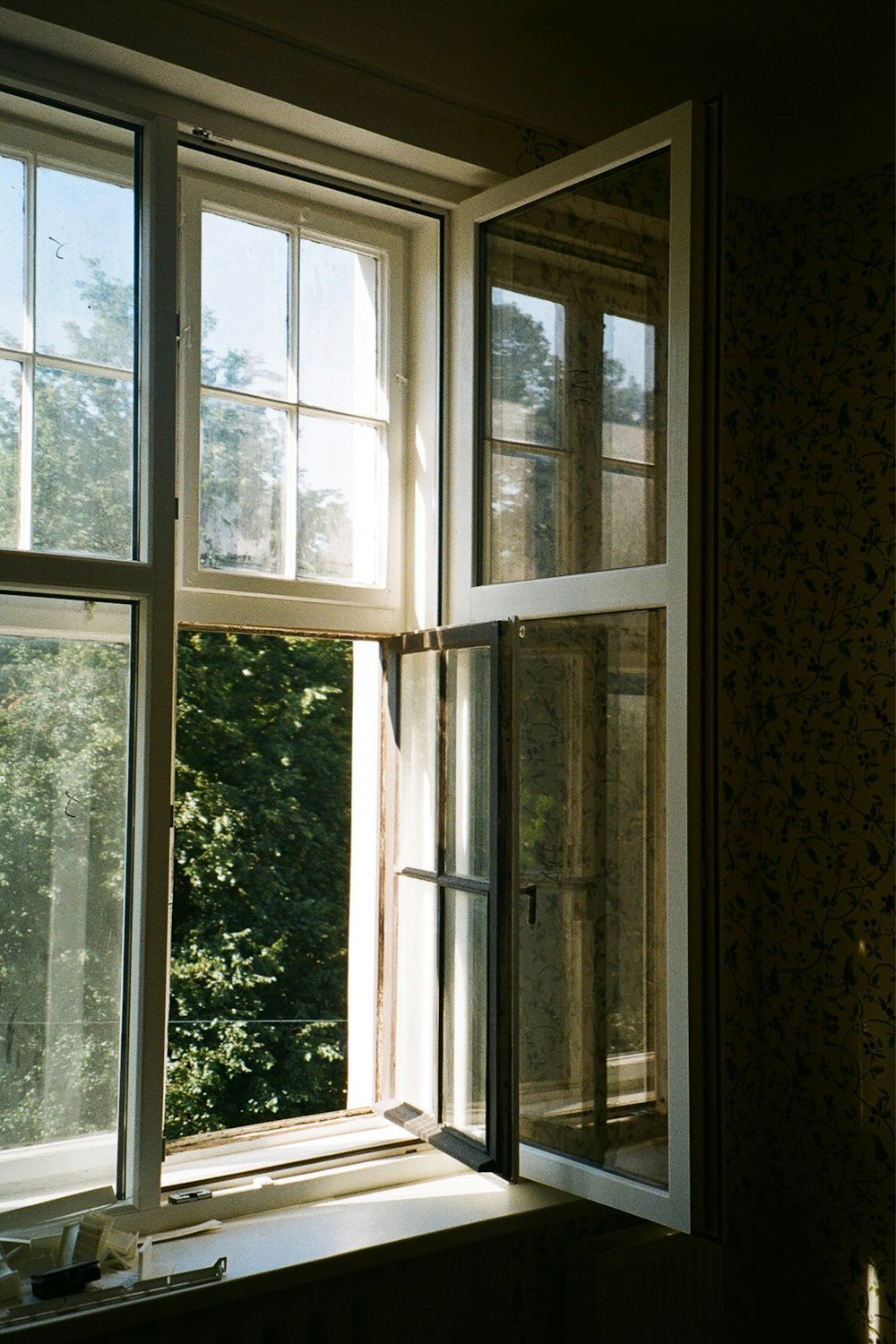 a window with a view of trees outside