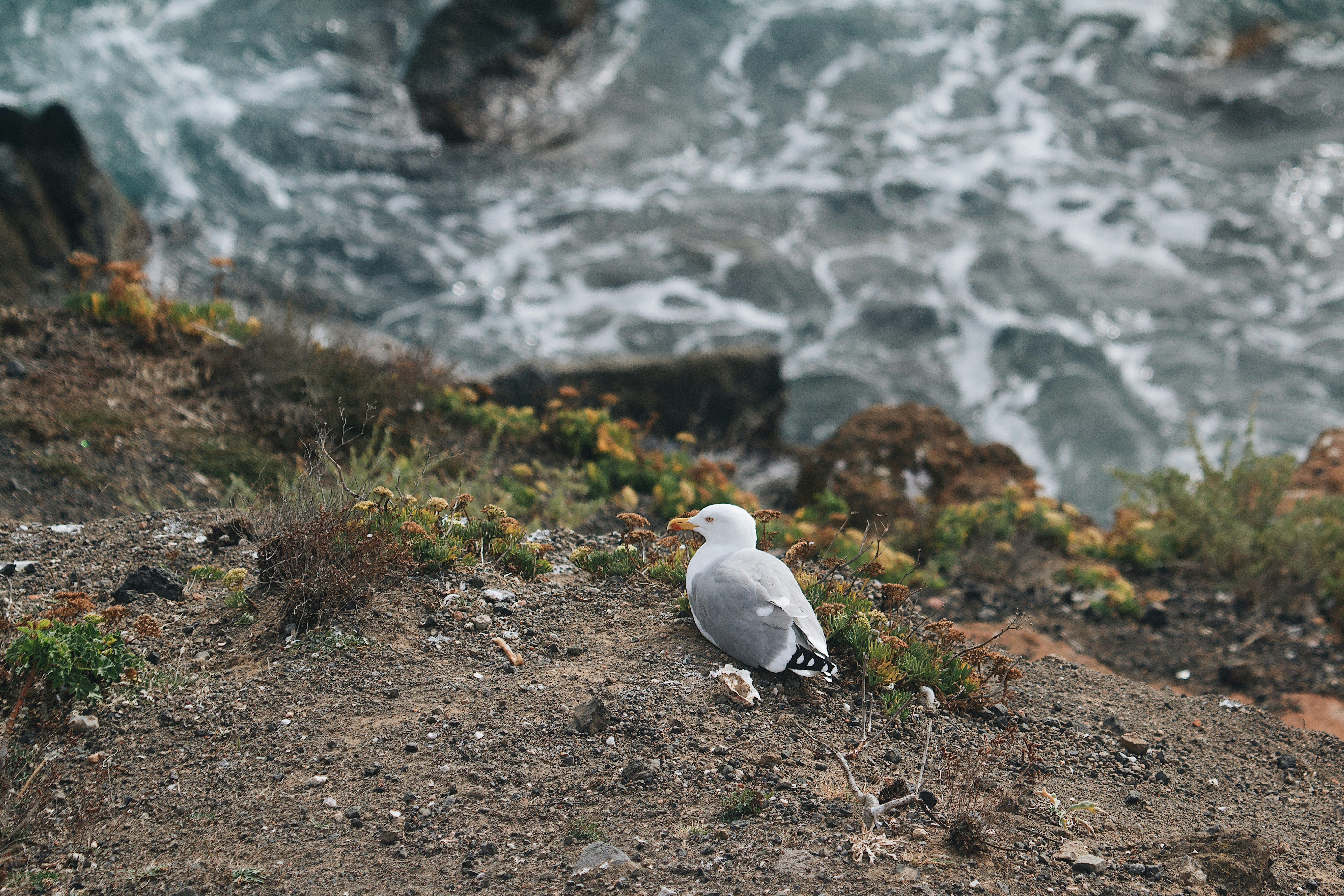 Photo by mael_balland