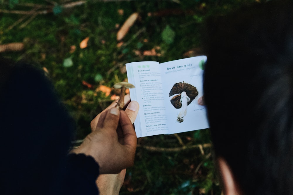 a person holding a book in their hands