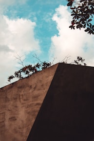 A concrete wall with visible texture stands against a backdrop of a clear blue sky with scattered white clouds. Small plants with dark green leaves and red accents are growing at the edge of the wall. The top corner of the wall forms a distinct geometric angle, creating a strong contrast with the organic shapes of the foliage.