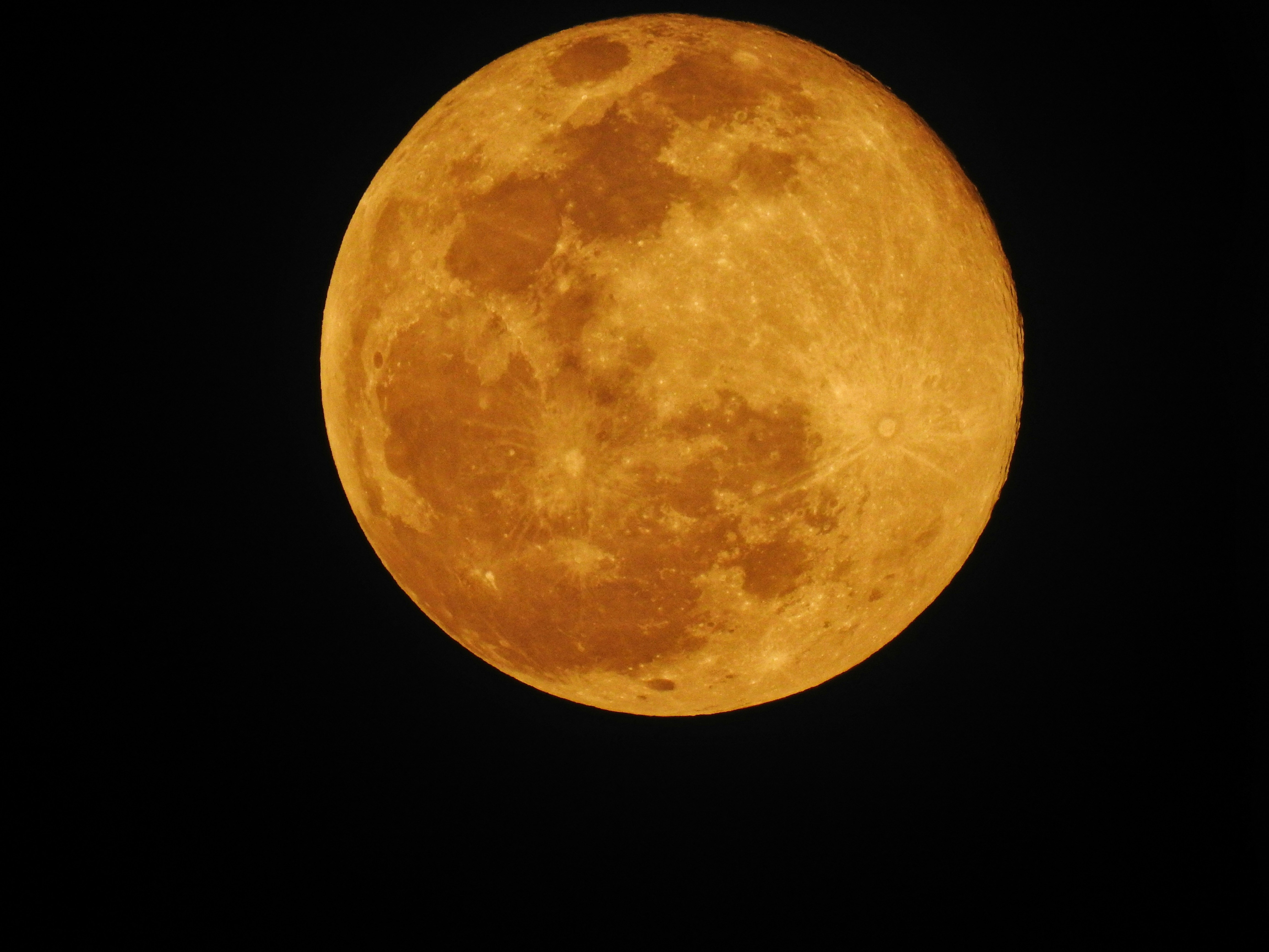 Photo by angelicaribeiro