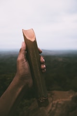 A hand is holding a piece of bamboo against a blurred natural background. The bamboo is cut and appears hollow, with a smoothed notch on one side. The sky is overcast, lending a moody atmosphere.