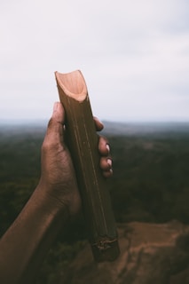 A hand is holding a piece of bamboo against a blurred natural background. The bamboo is cut and appears hollow, with a smoothed notch on one side. The sky is overcast, lending a moody atmosphere.