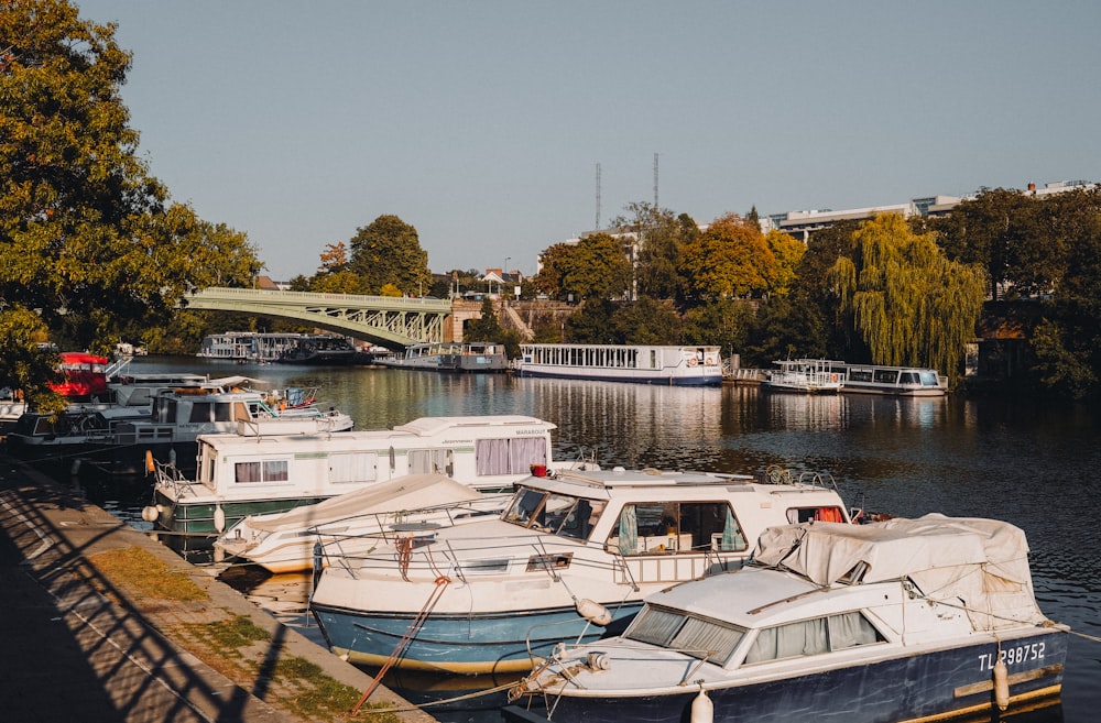 un tas de bateaux assis dans l’eau