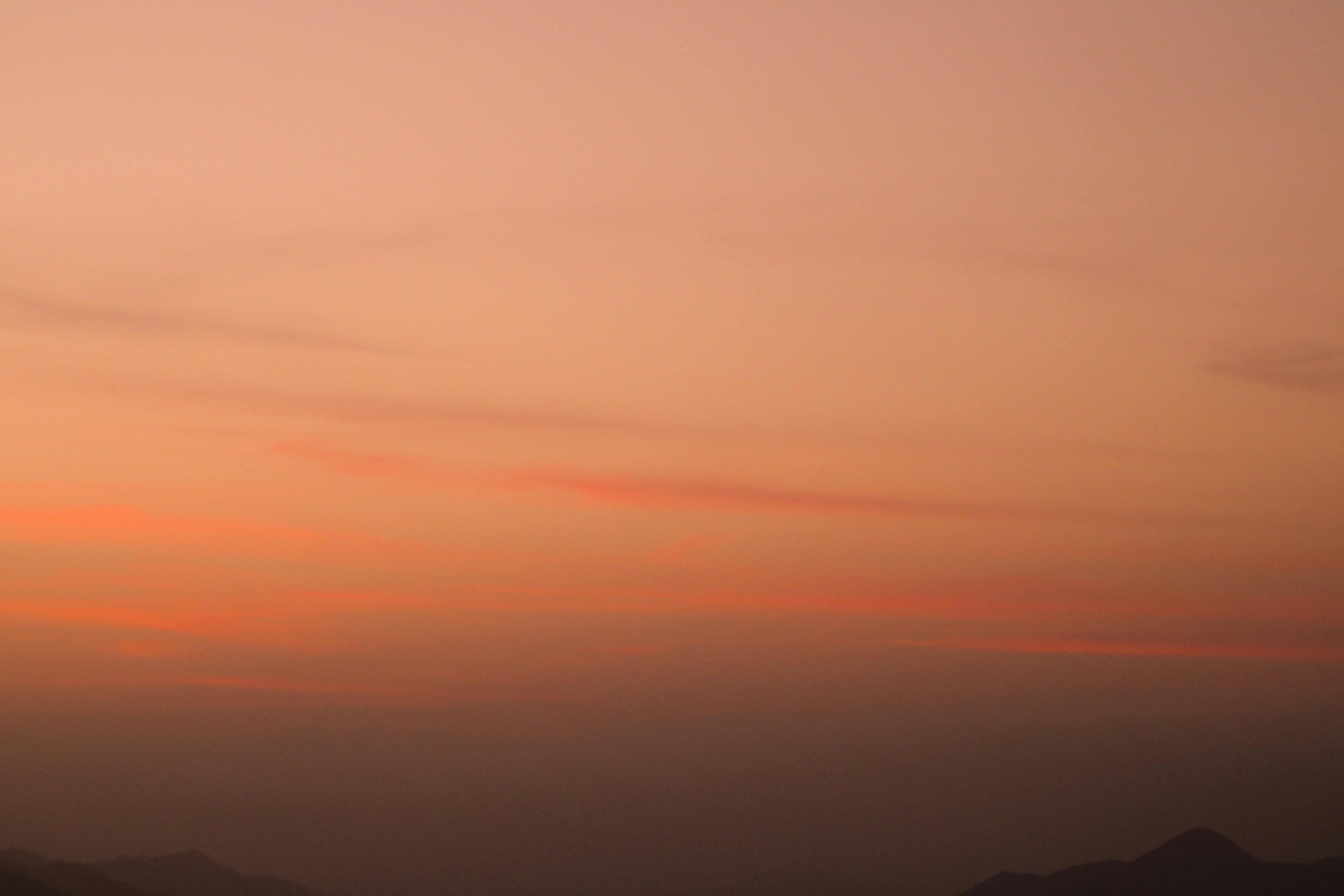 Photo by sttefanprado