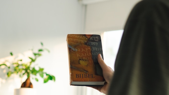 A hand holds a book titled 'Bijbel,' featuring text in various languages on the cover. The setting appears to be indoors with blurred greenery in the background, suggesting a plant.