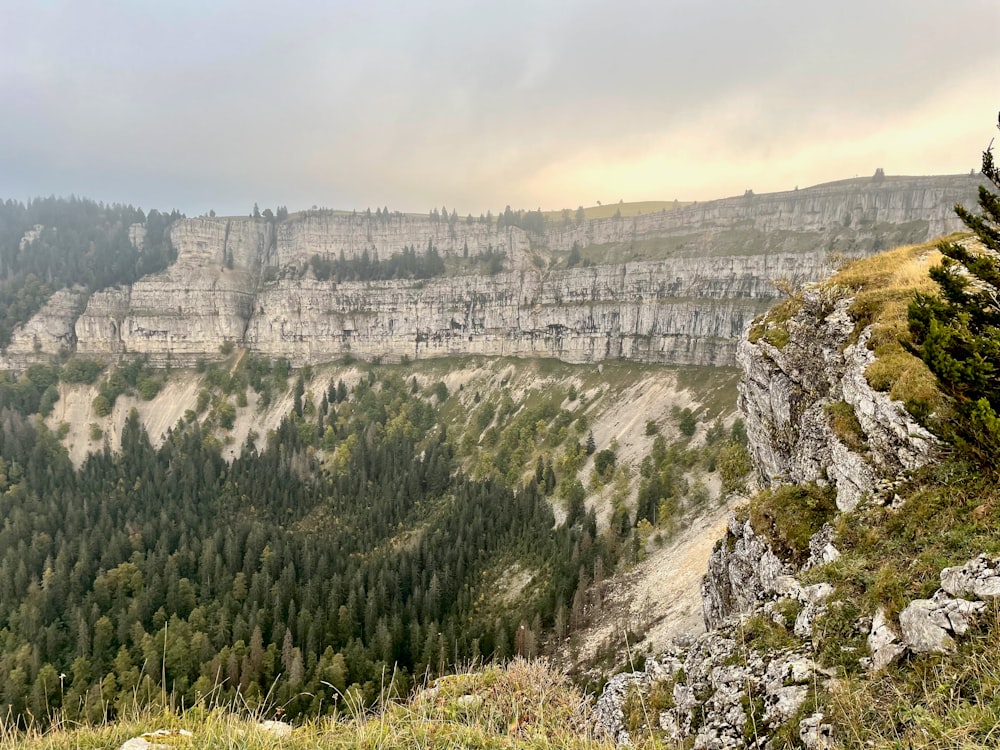 a scenic view of a mountain range with a forest in the foreground