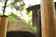 Close-up of eco-friendly bamboo furniture inside a cabana.
