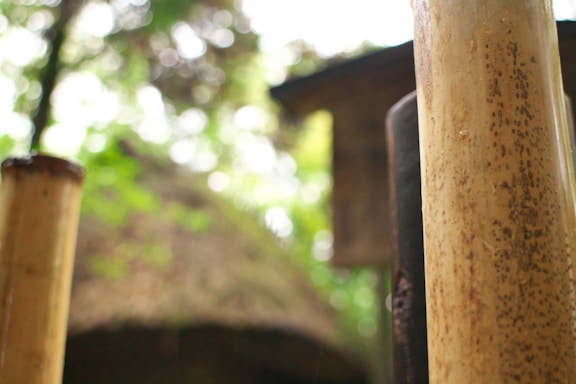 Close-up view of bamboo stalks with a blurred background showing natural greenery and a structure with a thatched roof. The focus is on the texture of the bamboo.