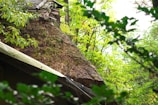 A rustic, thatched roof partially covered with moss, surrounded by lush green foliage and trees. The wooden structure blends harmoniously with the natural environment, suggesting a secluded, serene setting.