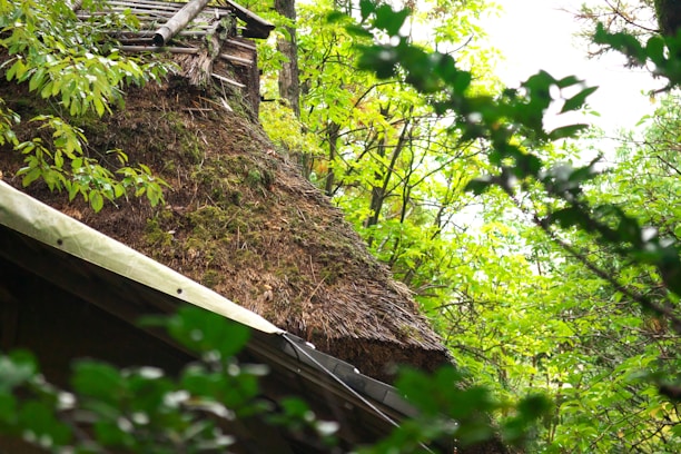 A rustic, thatched roof partially covered with moss, surrounded by lush green foliage and trees. The wooden structure blends harmoniously with the natural environment, suggesting a secluded, serene setting.
