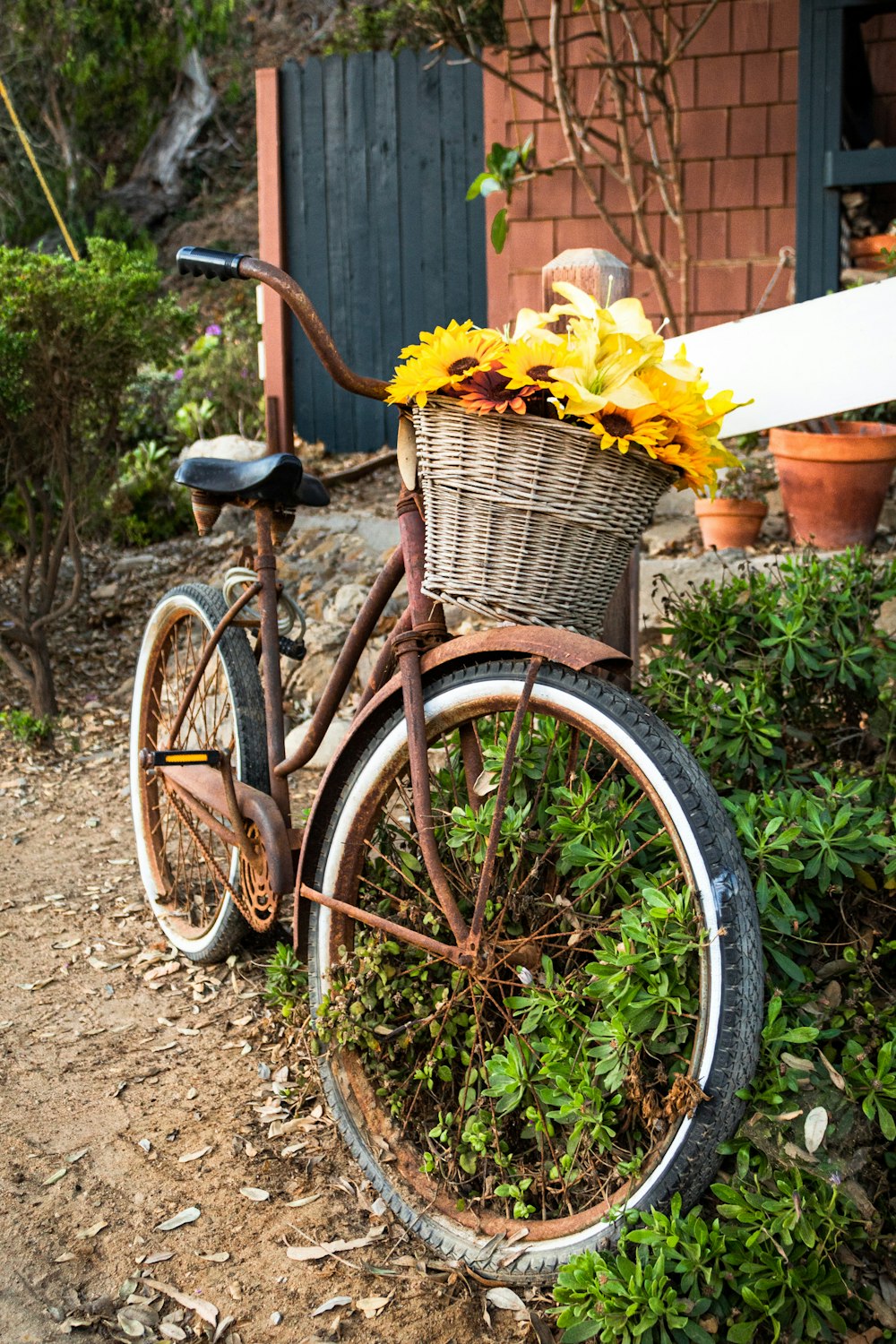 an old bicycle with a basket full of flowers