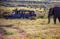 an elephant walking in a field next to a vehicle