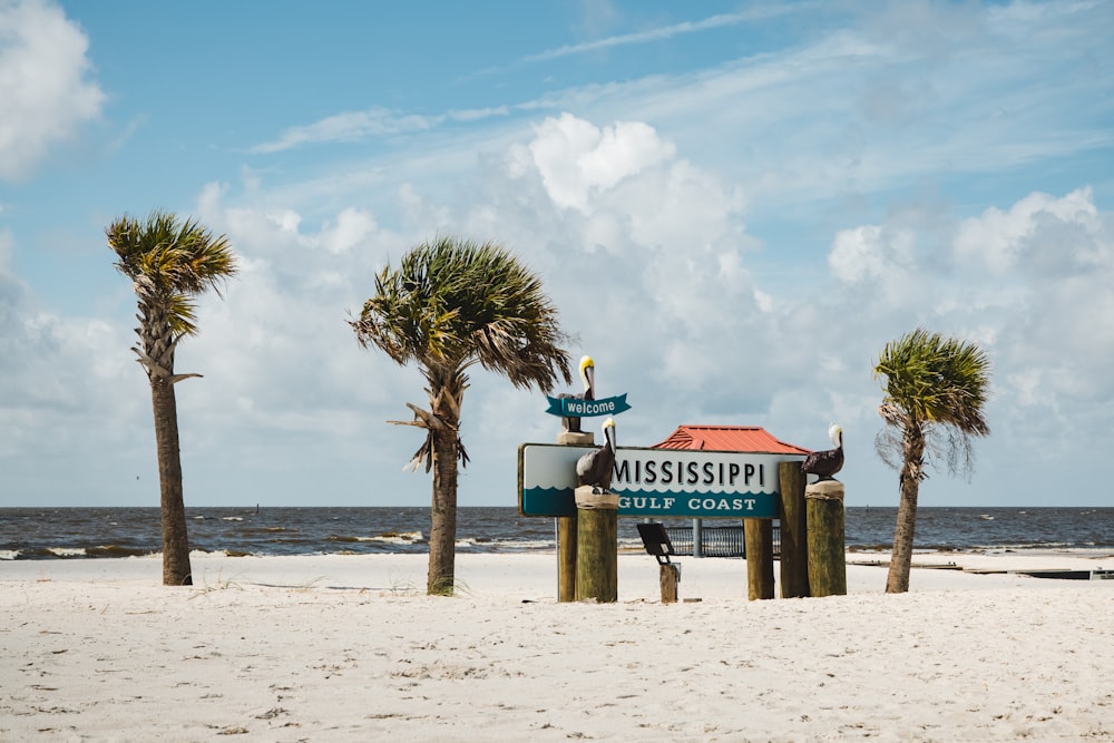 a couple of palm trees sitting on top of a sandy beach