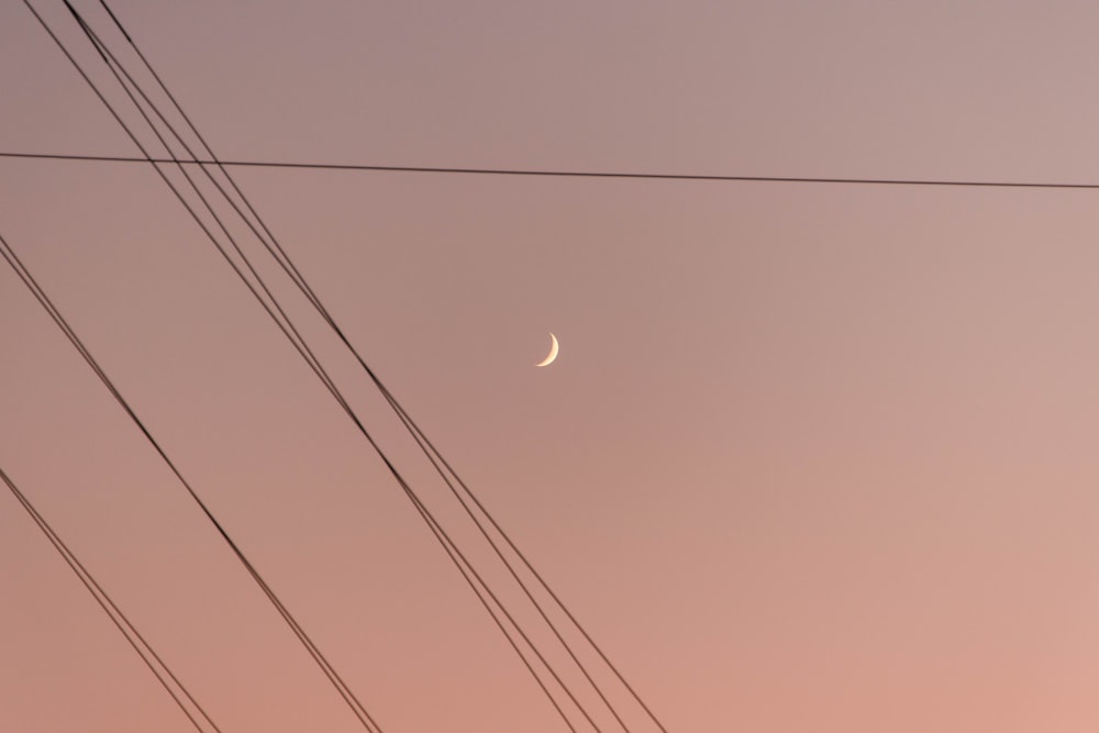 a full moon is seen through power lines