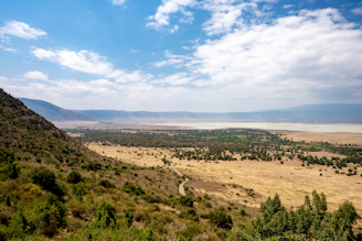 a scenic view of a valley with trees and mountains in the background