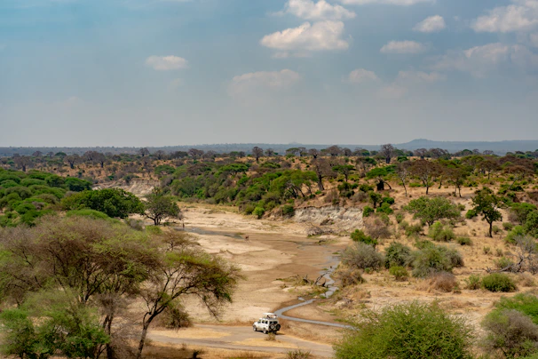 Panoramic view of Africa featuring bustling cities, ocean coastline, and sectors like oil & gas, mining, agrifood alongside wild landscapes under a dark blue theme, with Black African collaborators engaged in discussion.