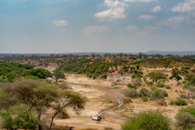 A vast African landscape displays a dry riverbed surrounded by dense green vegetation and scattered trees. A solitary vehicle traverses the dusty path, suggesting a safari experience. The sky is clear with a few scattered clouds, presenting a serene and open ambiance.
