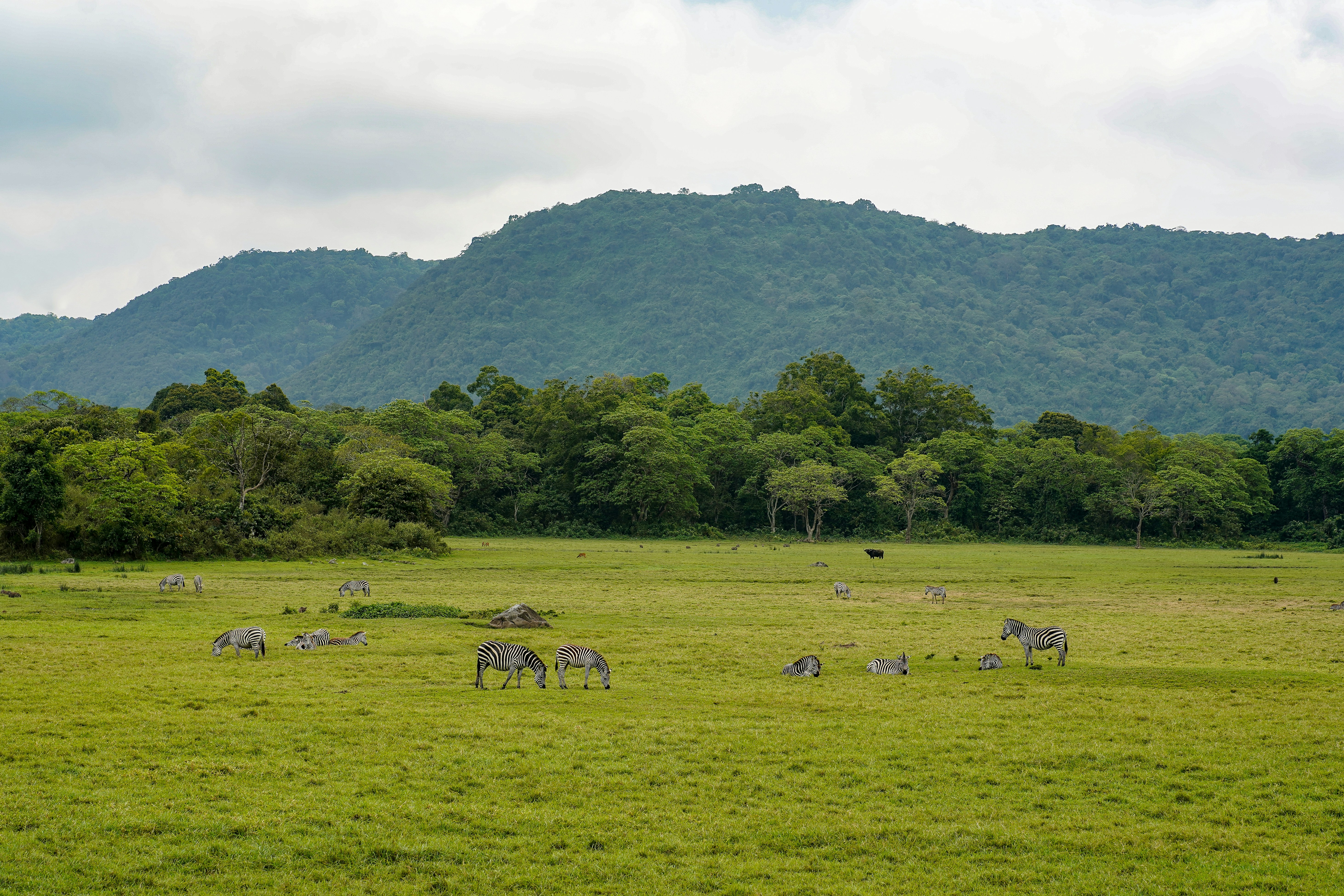 Arusha National Park, Tanzania - None