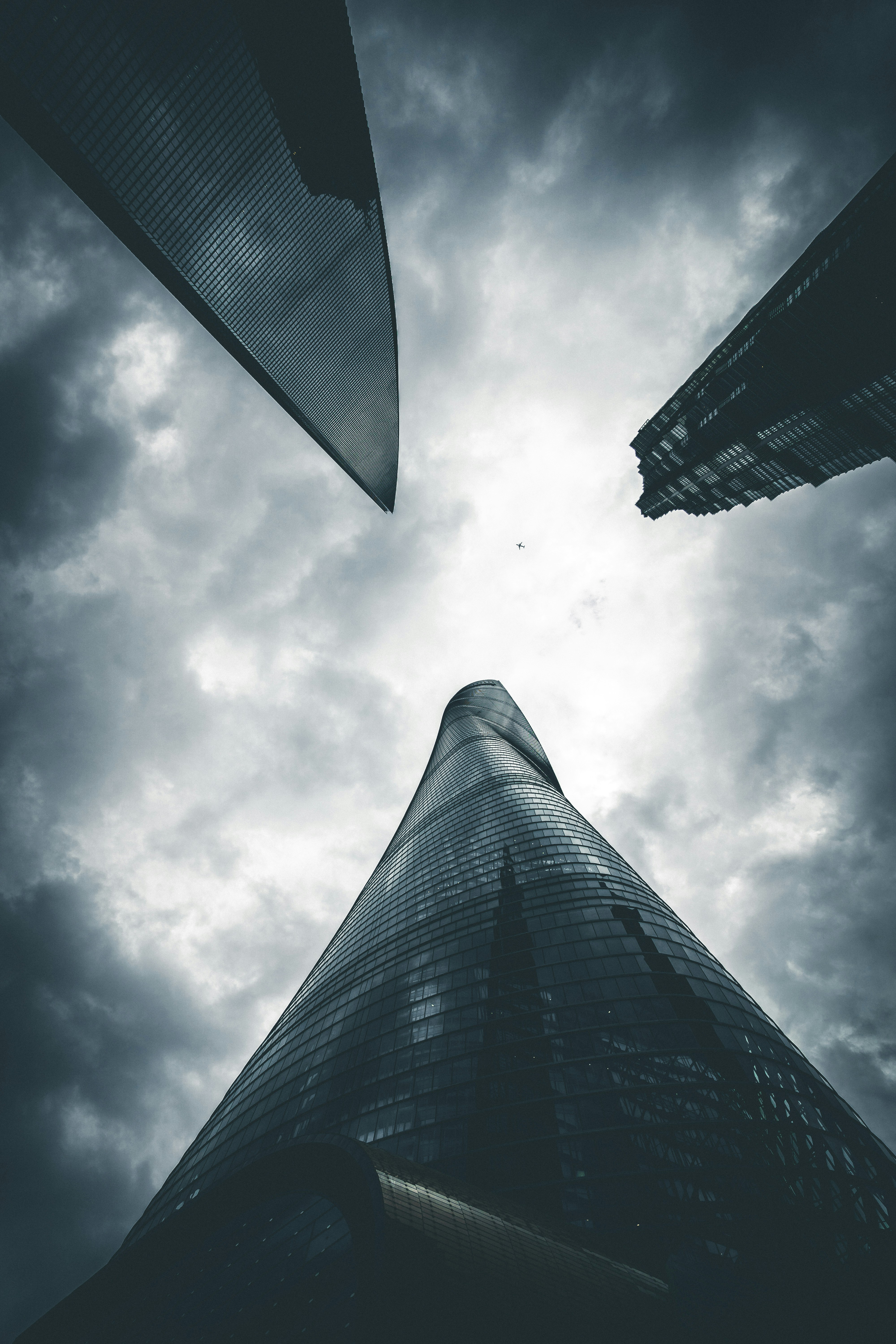 Photo by mischievous_penguins