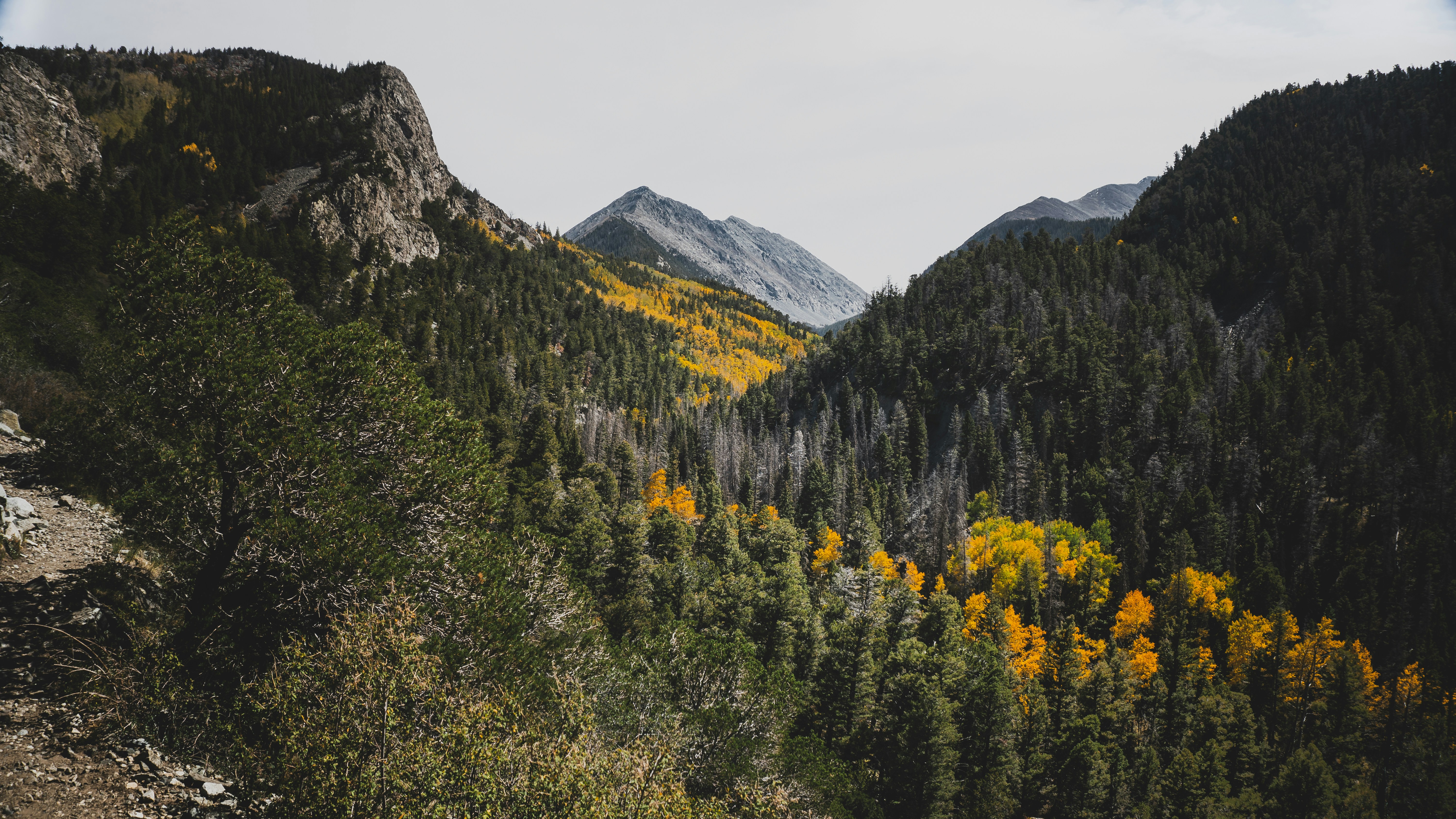 Photo by memory_terra