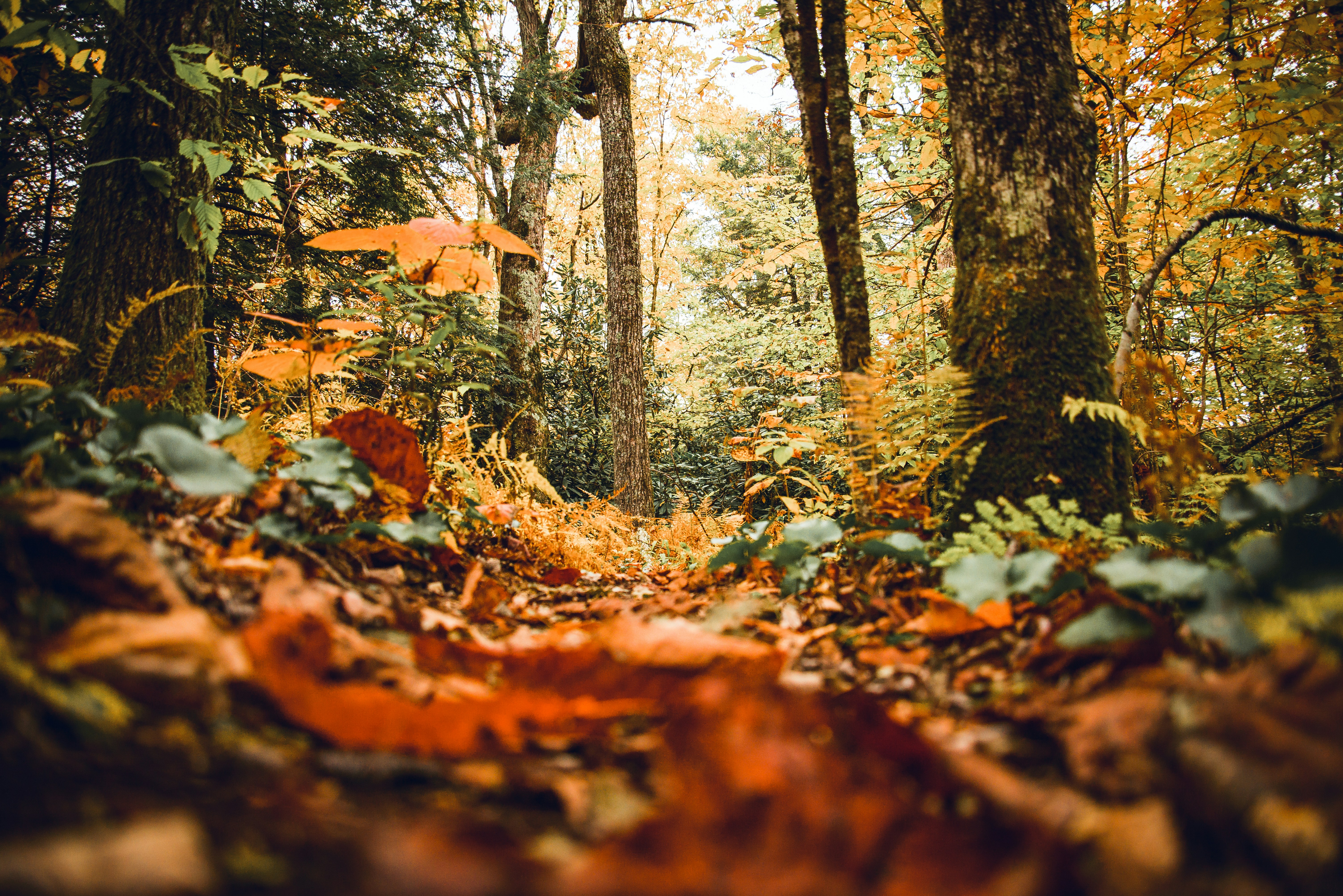 Photo by memory_terra