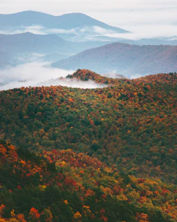 a scenic view of a mountain range covered in fall foliage