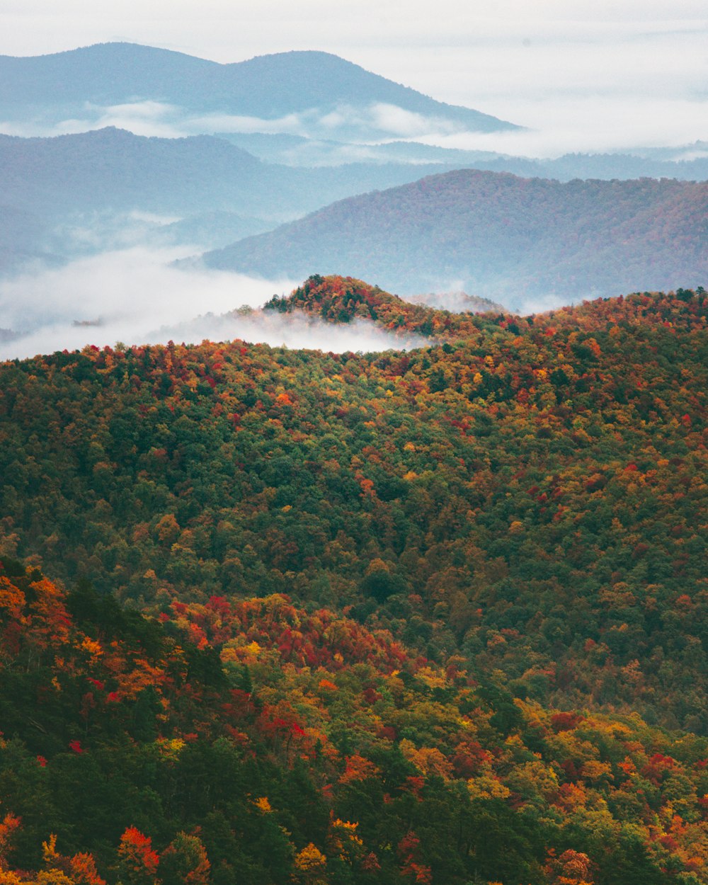 a scenic view of a mountain range covered in fall foliage