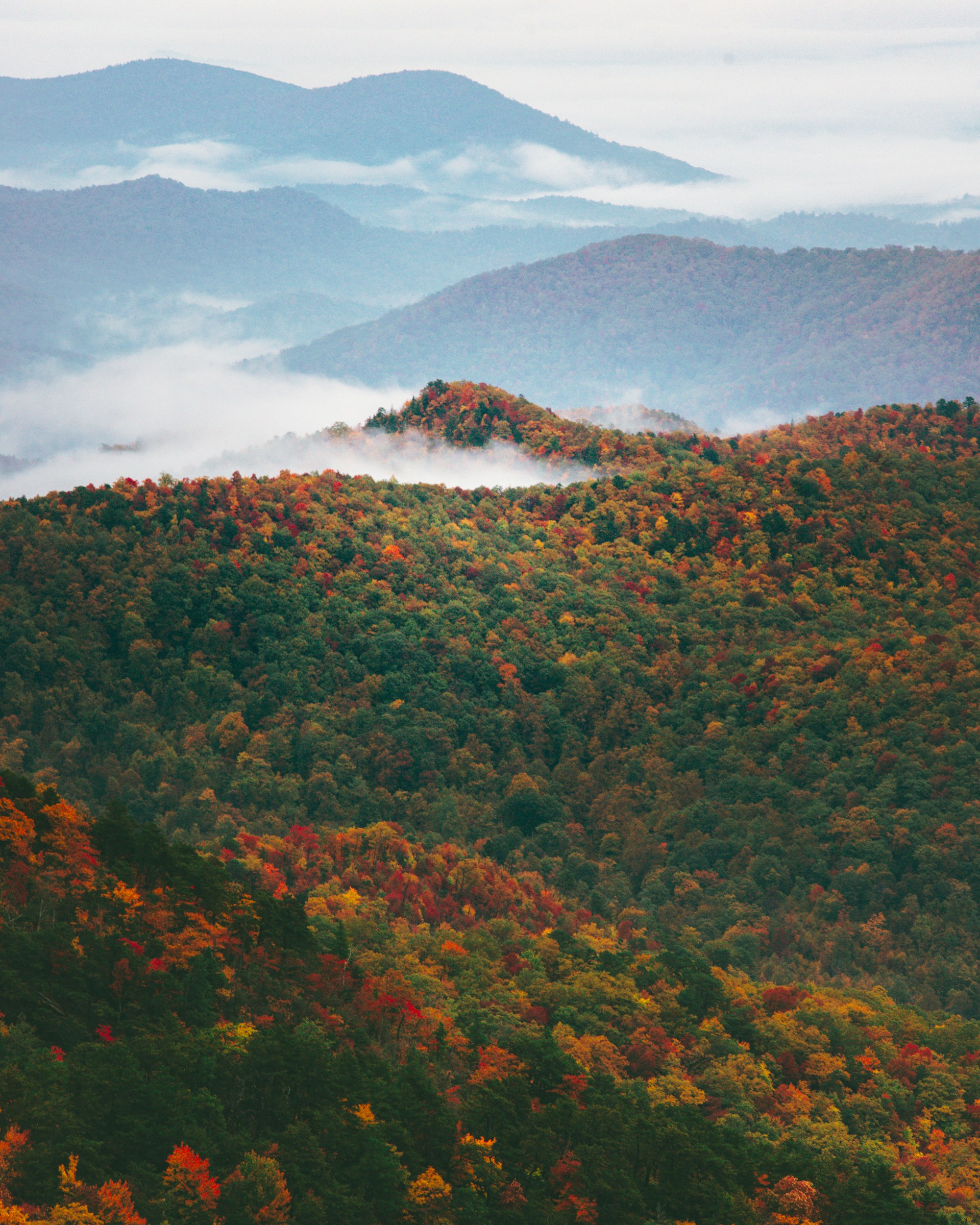 a scenic view of a mountain range covered in fall foliage