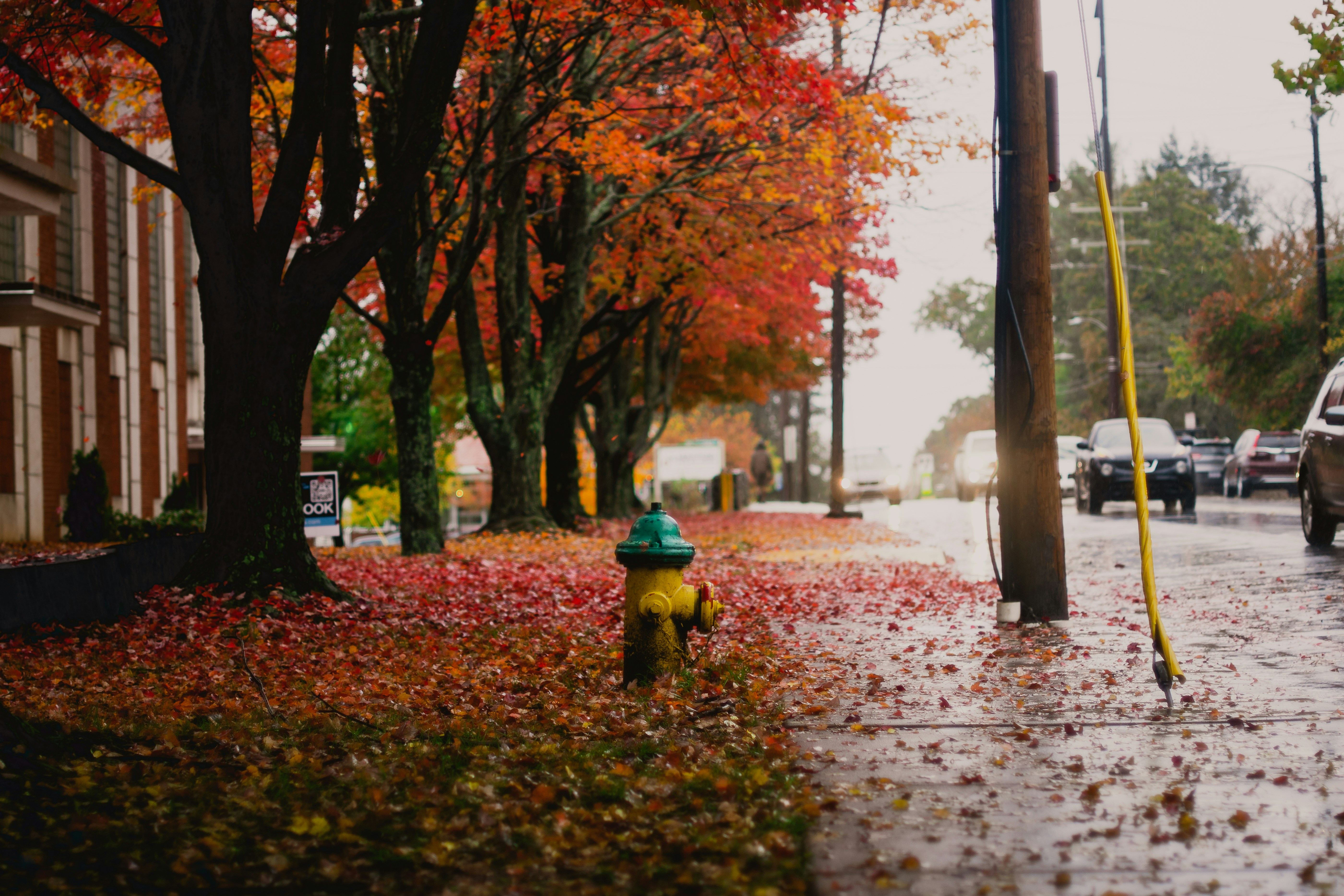 a yellow and green fire hydrant sitting on the side of a road