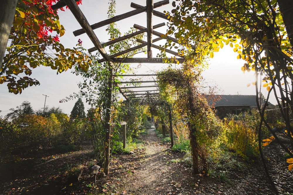 a wooden structure with vines growing over it