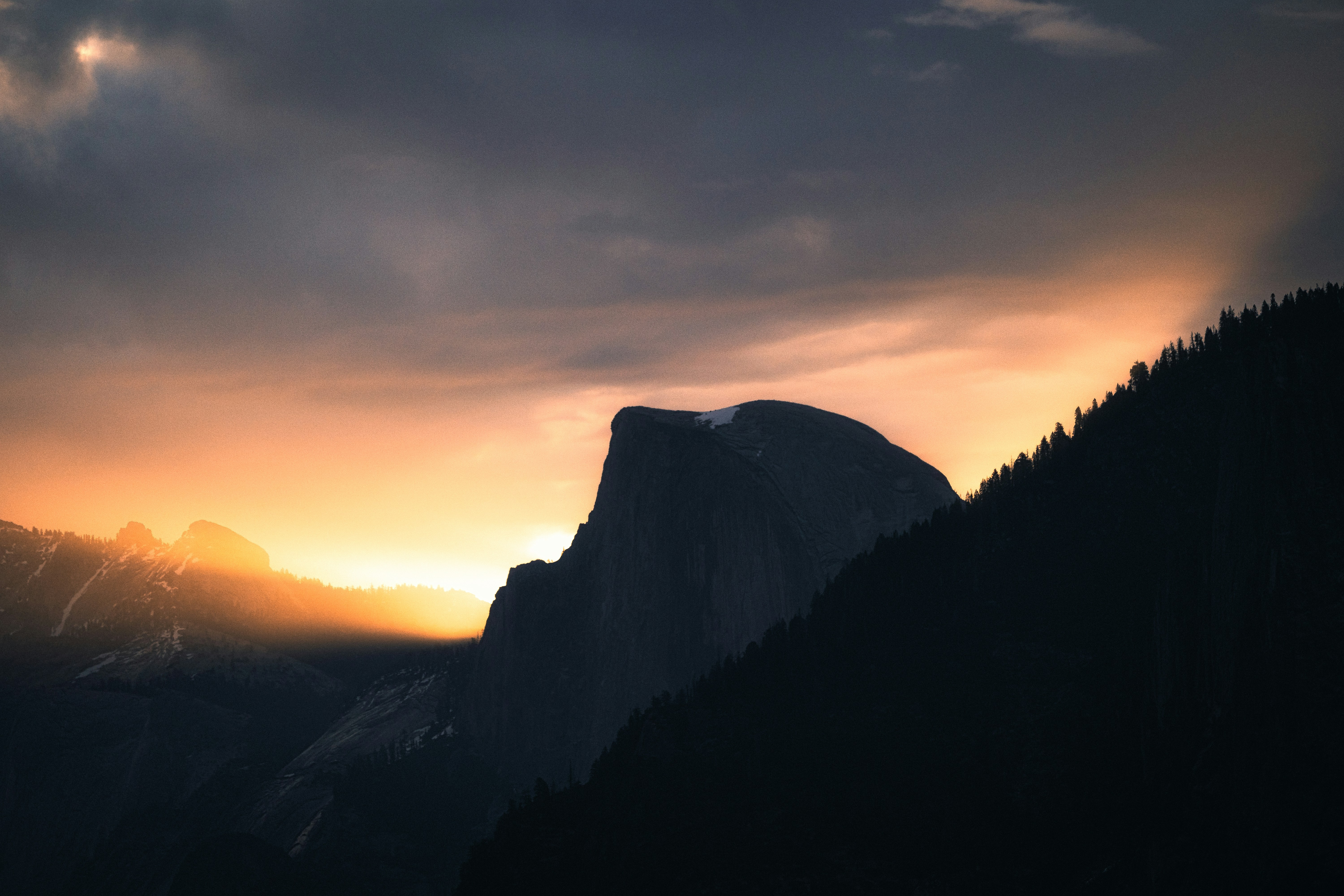 Photo by mischievous_penguins