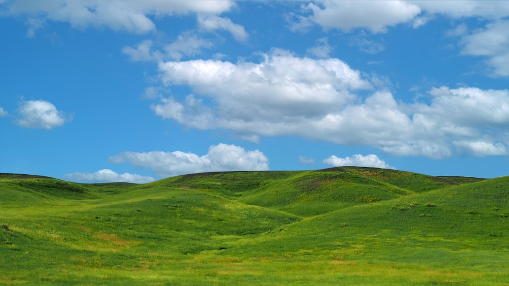 a green field with a few clouds in the sky