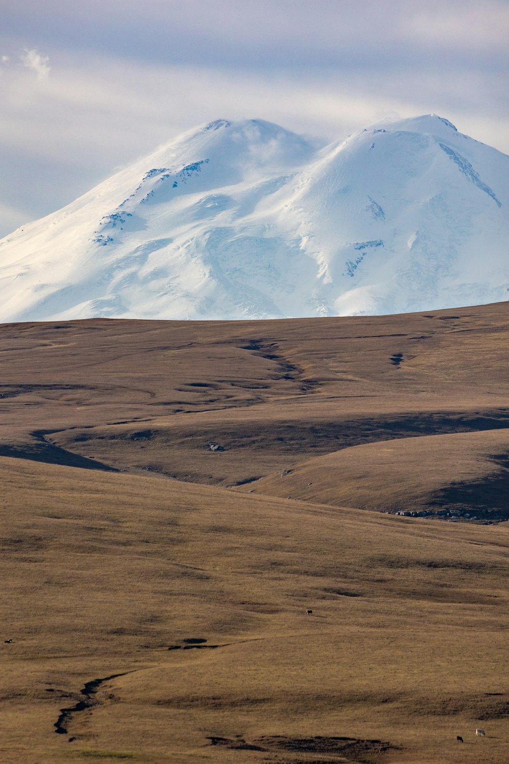 a large snow covered mountain in the distance