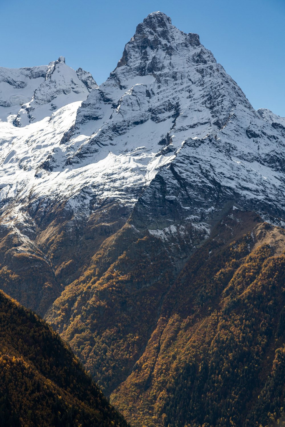 una cordillera cubierta de nieve con árboles en primer plano