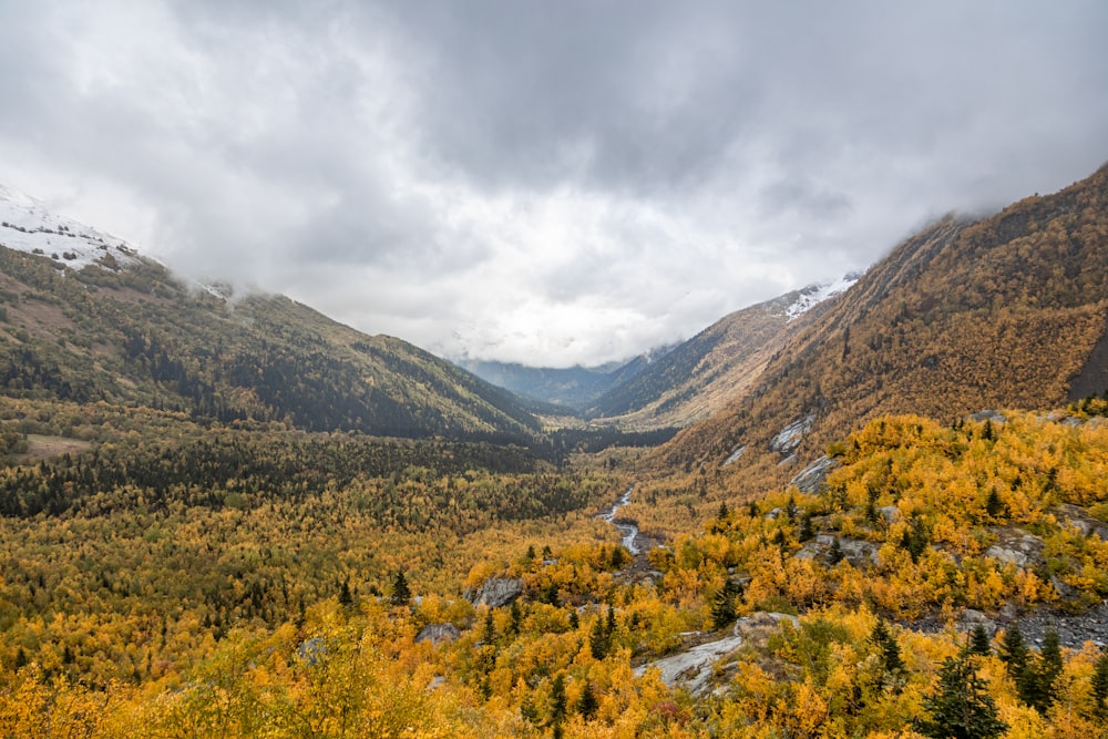 a scenic view of a valley in the mountains