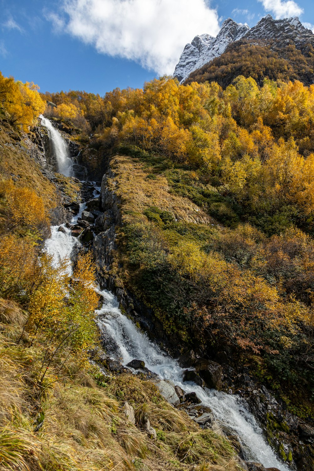 a waterfall in the middle of a forest